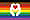 Charities Flag - pride in special groups (Small)