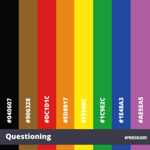 Pride In Series - Questioning Colours