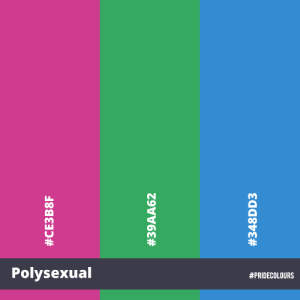 Pride In Series - Pansexual Colours