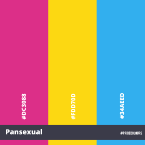 Pride In Series - Pansexual Colours