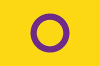 Intersex Flag - pride in gender (1) (Large)
