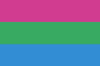 Polysexual Flag - pride in sexuality (Large)