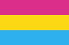 Pansexual Flag - pride in sexuality (Large)