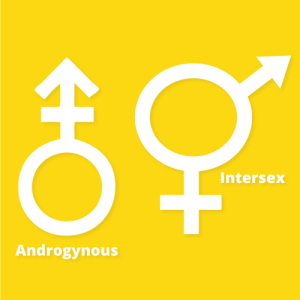 Pride In Series - Intersex/Androgynous  Symbol
